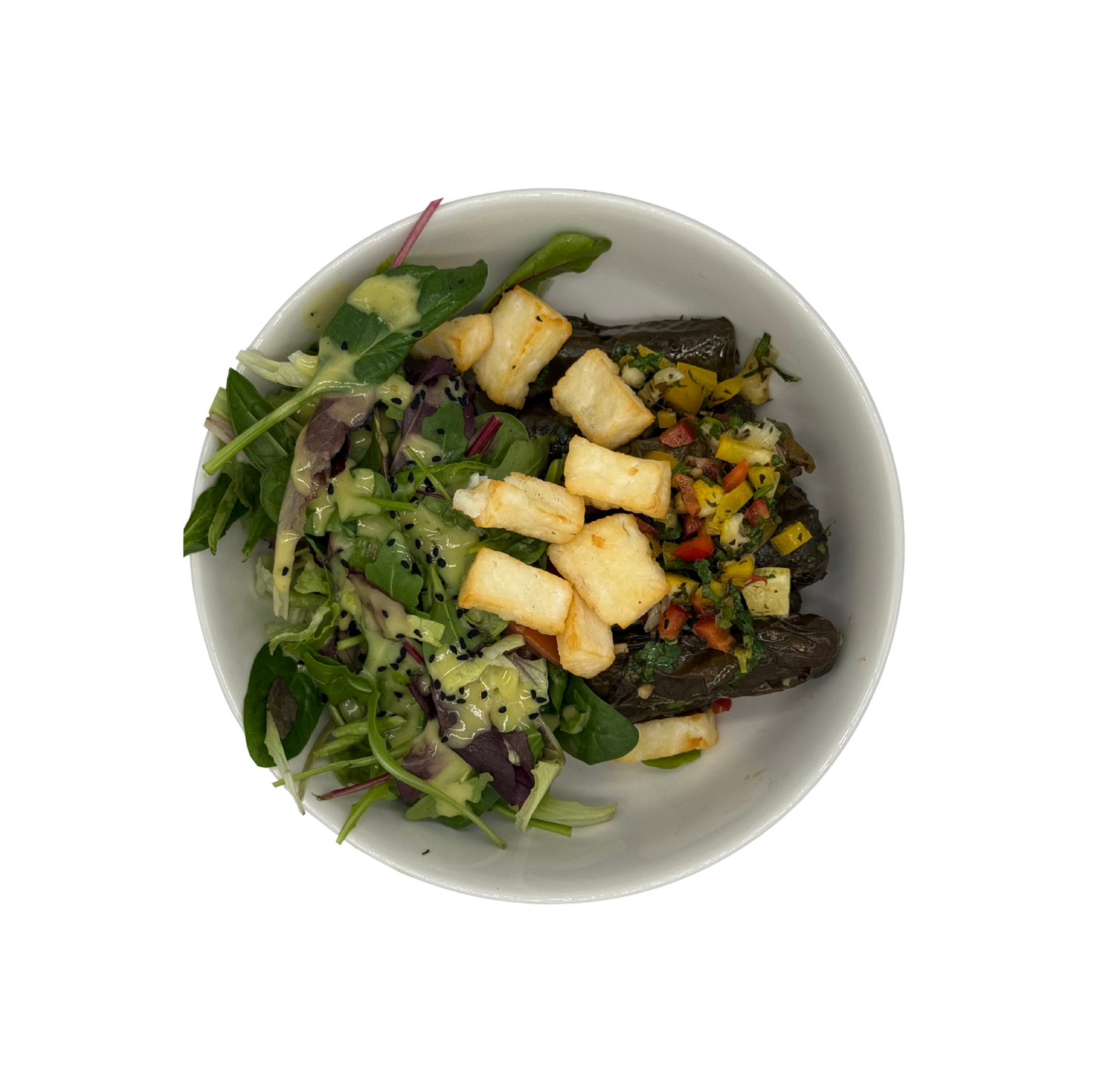 Greek vine leaves with halloumi &amp; salad
