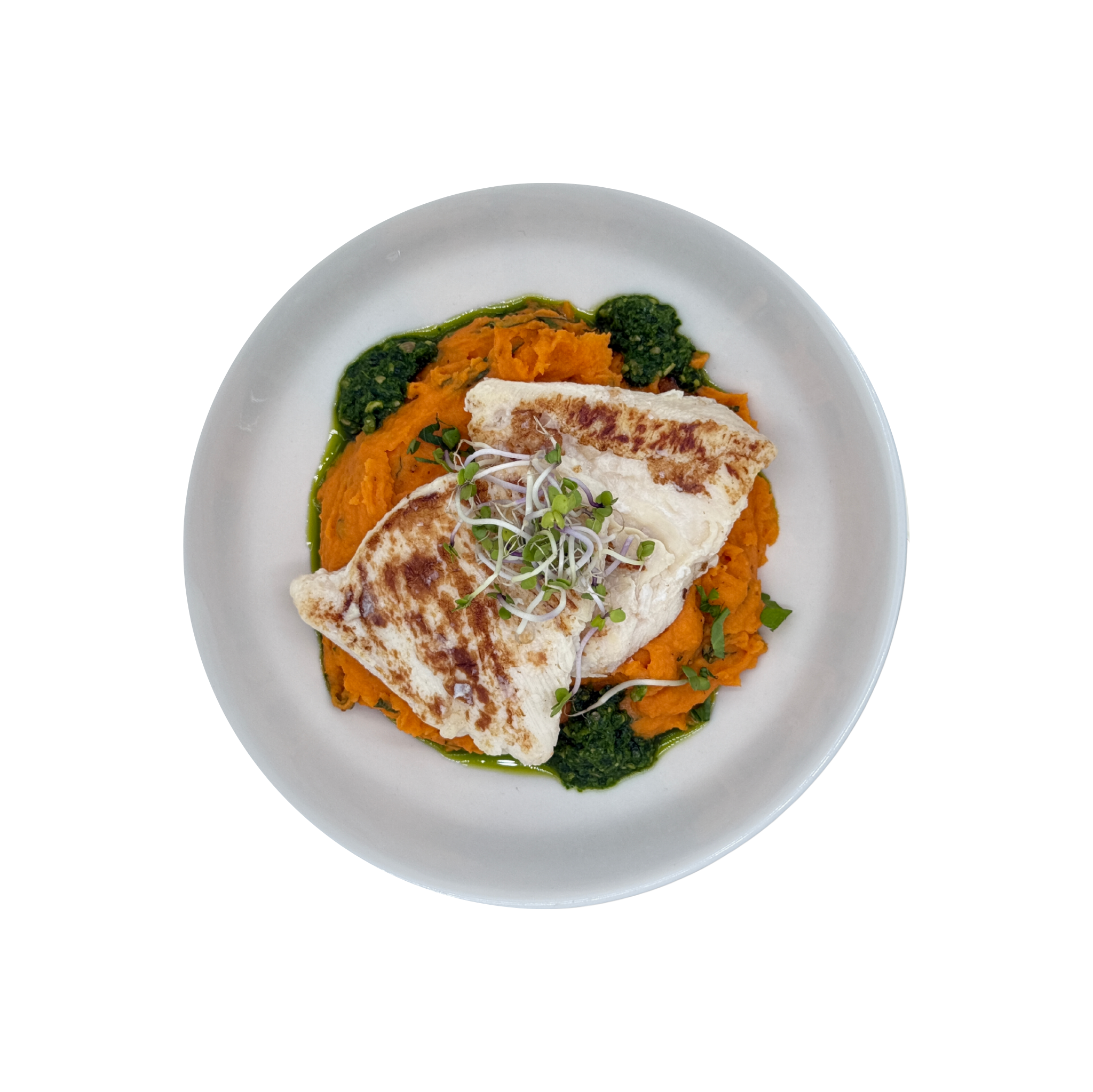 Chicken breast on tomato and potato puree with pesto
